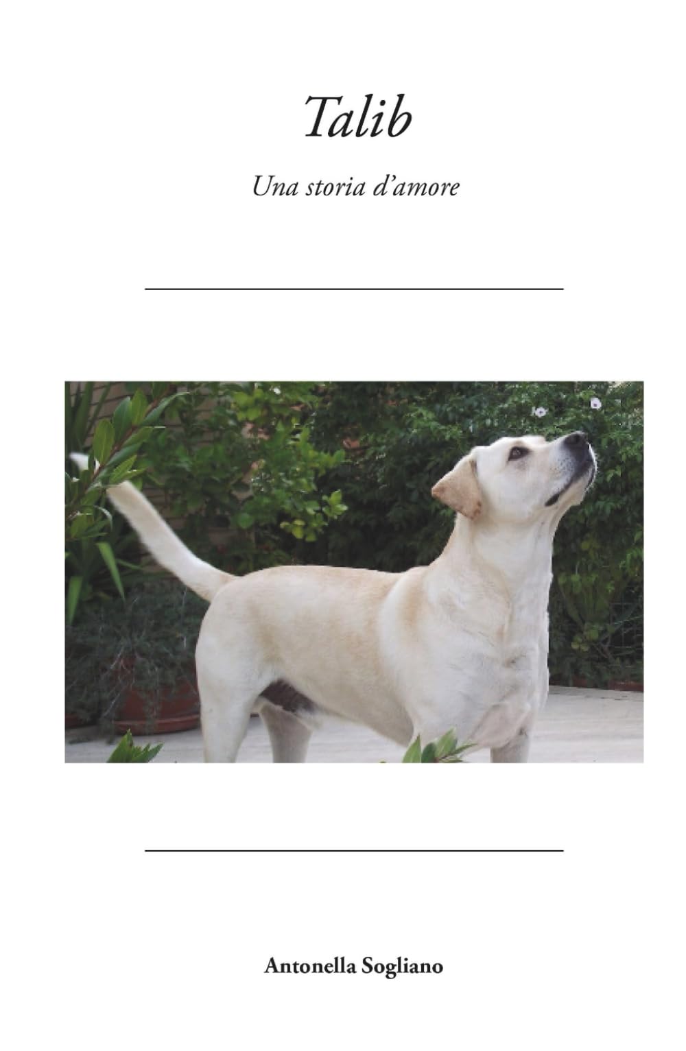 Talib, una storia d'amore