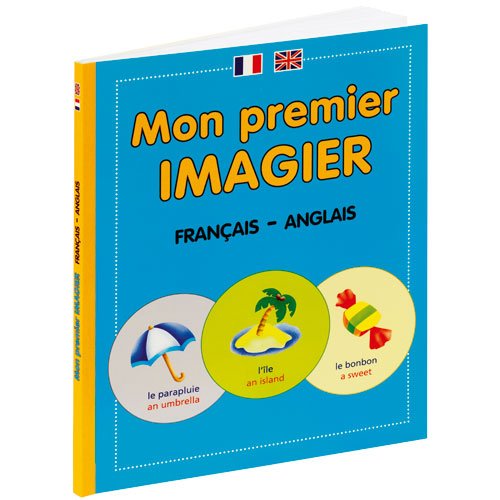 Libro Il mio immaginario francese-inglese