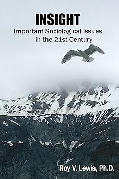 Paperback Insight: Important Sociological Issues in the 21st Century Book