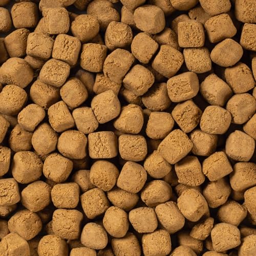 Monoprotein-Hundesnack mit 95% Lachs, getreidefrei, zuckerfrei & ohne Konservierungsstoffe. Ideal für Training & Spaziergänge, unterstützt Mundhygiene – TropiDog Snack Salmon 70g
