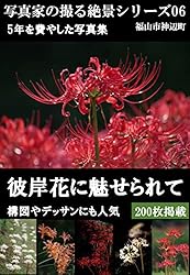 Amazon.co.jp: 彼岸花 200枚 写真家の撮る絶景シリーズNO.06 : 曼珠沙