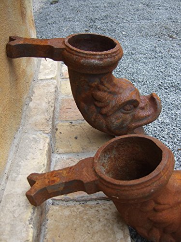 Antikas Bec d'eau pour gouttière gargouille en forme de poisson évacuation eau
