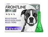 Frontline PLUS Spot On, 6 pipettes...
