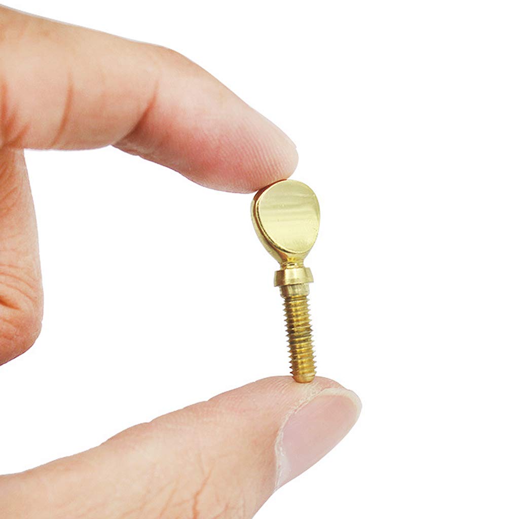 QERPON Saxophone Neck Screws, Saxophone Mouth Tightening Saxophone Neck Receiver Screw Saxophone Clarinet Ligature Fixing Parts