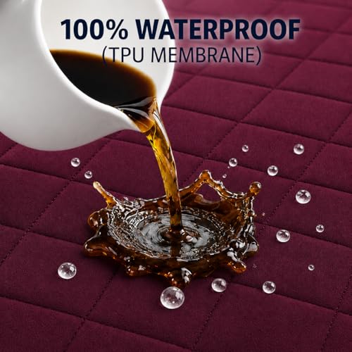 Image of RESTIFY 100% Waterproof Quilted Queen Size Mattress Protector 72x60 Inch 6x5 Ft Fits Upto 10 Inch Mattress | Premium Cotton Breathable Bed Protector | Mattress Cover for Double Bed |Wine
