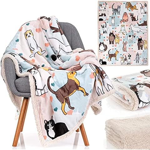 Manta de gato Obsi con 28 compañeros de gato Cover