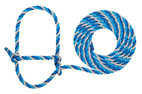 Weaver Livestock Braided Poly Rope Cattle Halter,...