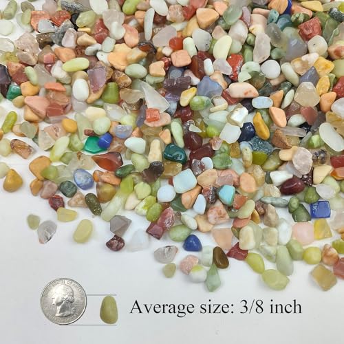 Image of 20LB Colorful Pebbles for Succulent, 3 /8 Inch Natural River Rocks for Plants, Natural Decorative Polished Pebbles for Cactus,Vases, Planters,Outdoor Gardening and Indoor Plants