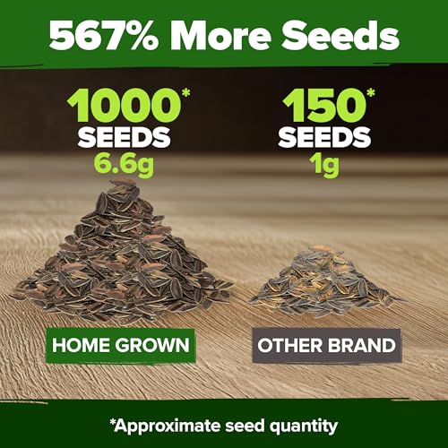 Image of HOME GROWN Envy Zinnia Seeds (1g) - 1000 Rare Lime Green Annual Zinnia Flower Seeds for Planting, Fast-Growing Heat-Loving Variety, Premium Herb Seeds Garden Companion for 2026 Blooms (Zinnia elegans)