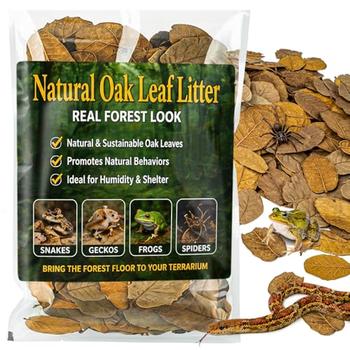 MAQIHAN 7 OZ Dry Oak Leaf Litter - Leaf Litter for Reptiles Oak Leaves for Isopods Live Substrate for Snakes, Frogs, Isopods, Terrarium Bedding