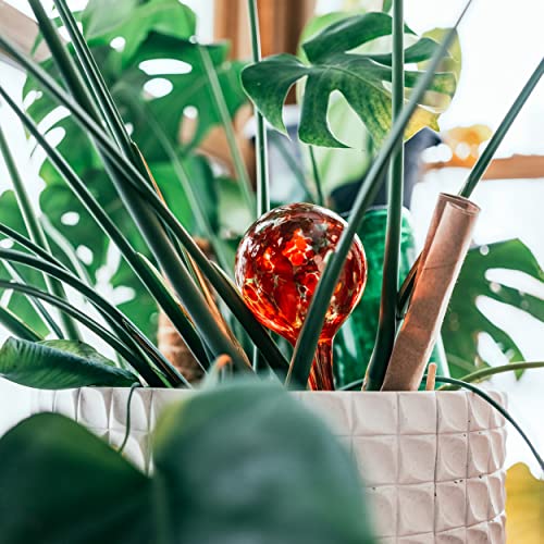 7Penn Large Plant Watering Globes for Indoor Plants, 10oz 4-Pack - Automatic Self Watering Planter Insert Glass Bulbs