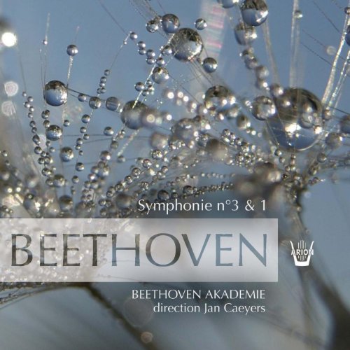 Beethoven Akademie, Jan Caeyers