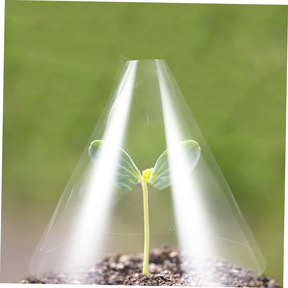 Cloche de Protection pour Plantes, Lot de 30, Plastique Réutilisable