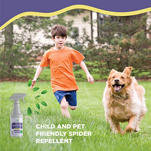 mdxconcepts Organic Spider Repellent Spray - Peppermint Oil - MADE IN USA - 16oz Natural Outdoor/Indoor Spray for Spiders, Insects and More - Long Lasting -Non Toxic - Thumbnail 2