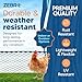 Zebro Plastic Chicken Wire Fence – Lightweight Poultry Netting & Garden Fence for Chicken Coops, Pet Enclosures, Balcony Safety & Landscaping – Weatherproof & Rust-Free - 3' x 50' Black