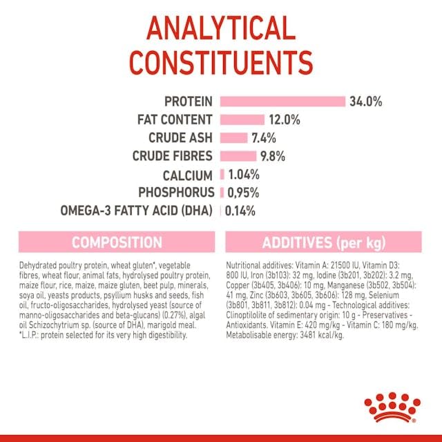 Royal Canin Kitten Sterilised | Pack Double | 2 x 400 g | Aliment Complet pour Chats | Spécialement conçu pour Les Chats castrés en Pleine Croissance, de 6 à 12 Mois