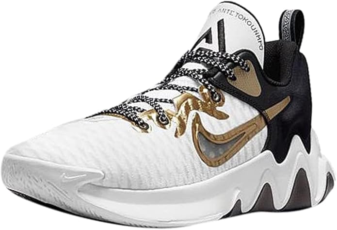 oakley flight jacket frame