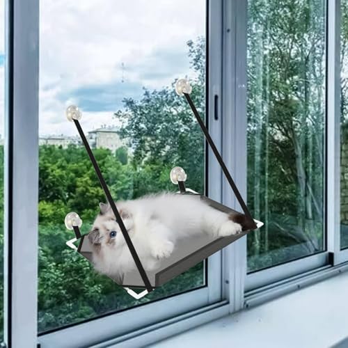 Hamac intérieur pour chat avec ventouses : étagère suspendable gain de place maison