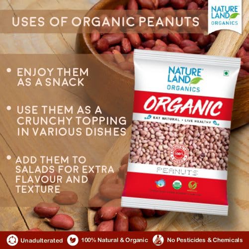 Image of Natureland Organics Sunflower Oil Jar, 5 L & Whole Peanuts / Groundnuts 500 Gm - Organic Peanuts