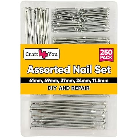 Zinc Plated Assorted Flat Head Nails Pack Cover
