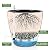 Dexceder Dumpy Round Series Self Watering Planter