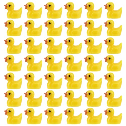 50pcs Mini Resin Duck, Miniature Ducks Tiny Ducks to Hide Small Ducks Mini Resin Figures Mini Resin Animals Decorations for DIY Crafts Party Micro Landscape Ornaments