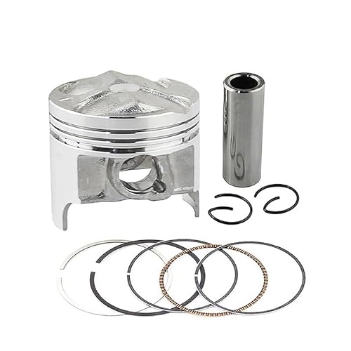 GSX250R GJ72A GJ73A GJ74A GSF250 BANDIT 250 ACROSSp oCNpV_[{AsXgO(STD (1 Set))