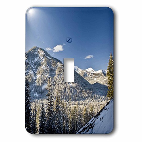 Interrupteur de commande fluide 3dRose Palisade Waterfalls bbr0006 - 2
