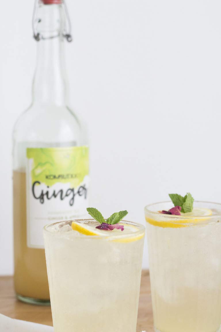 BOISSON ÉCOLOGIQUE KOMBUTXA TE KOMBUCHA - 6 bouteilles 750 ml Thé fermenté bio énergie écologique combustion des graisses sans sucre ajouté (Ginger (Gingembre et Pomme))