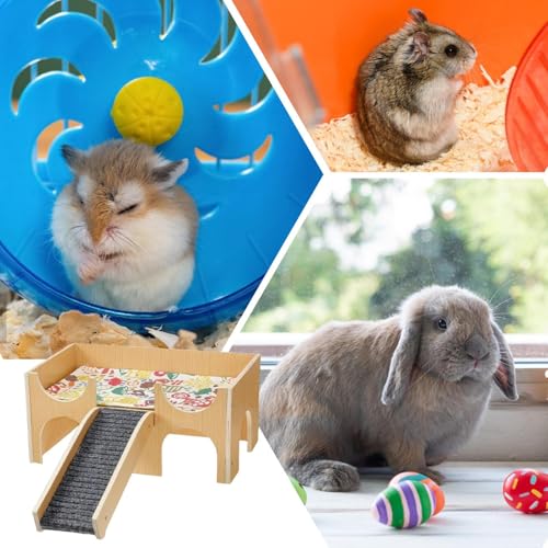 Casa Para Hamster | Habitat de Para Animais,Habitat Com 2 Andares Com Escadas E Toca Para Ouriço, Ha