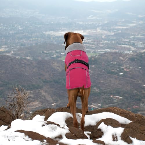 Image of Lelepet Dog Coat Reflective Waterproof Fleece Vest with Adjustable Buckle