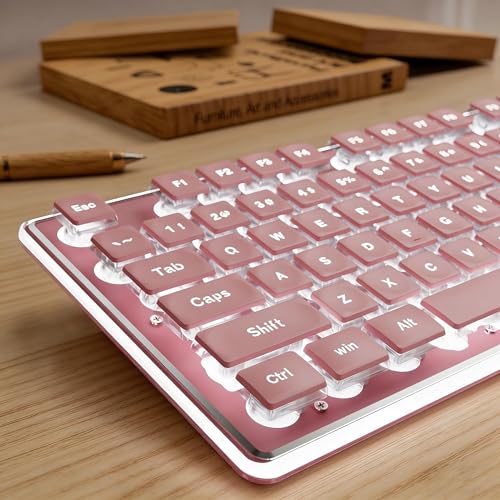 SEUNKWANG EWEADN GX710S Backlit Computer Keyboards, Wired USB Keyboard with White Backlit, Metal Panel, Plug and Play, Pudding Keycaps Full Size Quite Computer Keyboard for Win/PC/Laptop-Pink