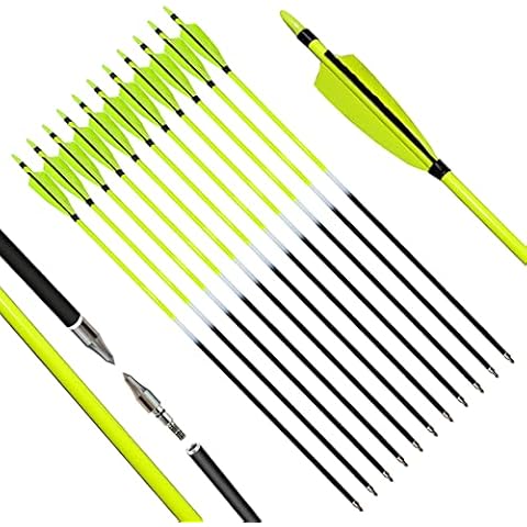PG1ARCHERY 30 Inch Archery Carbon Arrows, 12 Pack Hunting Target Practice Arrow with Removable Tips Fletching 4" feathers for Compound & Recurve Bow Green Cover