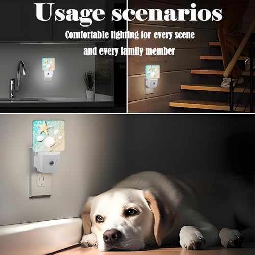 Image of Starfish and Seashell On Beach Night Light,Plug Into Wall Decor for Stairway,Hallway,Kitchen,Dusk to Dawn Sensor Nightlights for Boys /Girls /Women /Men Room Gifts