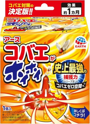 RoG쏜 1 RoG RoG΍ RoG쏜 ߊl oG  GT ގ 