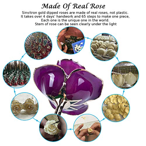 Sinvitron-Gold-Dipped-Rose-24K-Real-Rose-Long-Stem-Gold-Plated-Rose-with-Stand-Valentines-Day-Gifts-for-HerGifts-for-Mom24K-Golden-Rose-for-Anniversary-and-Mothers-Day-Birthday-Purple