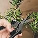AC Infinity 6.6” Stainless Steel Pruning Shear 2-Pack, Lightweight Ergonomic Design, Straight Precision Blades with Nonstick Titanium Coating for Gardening, Hydroponics, Grow Tents
