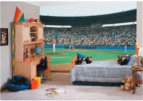 Play Ball Baseball Stadium Field Wall Mural