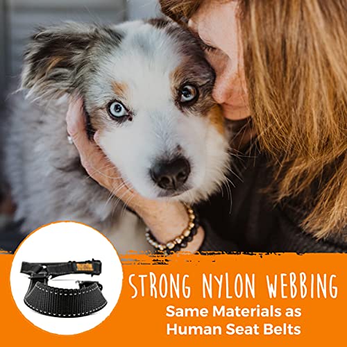 Mighty Paw Dog Seat Belt | Headrest Dog Seatbelt Tether, Pet Seat Belt For Car, Dog Car Leash, Dog Safety Belt For Car, Seatbelt For Dog In Car, Dog Seat Belt For Car, Dog Car Seat Belt Large - Puppy #TOP6