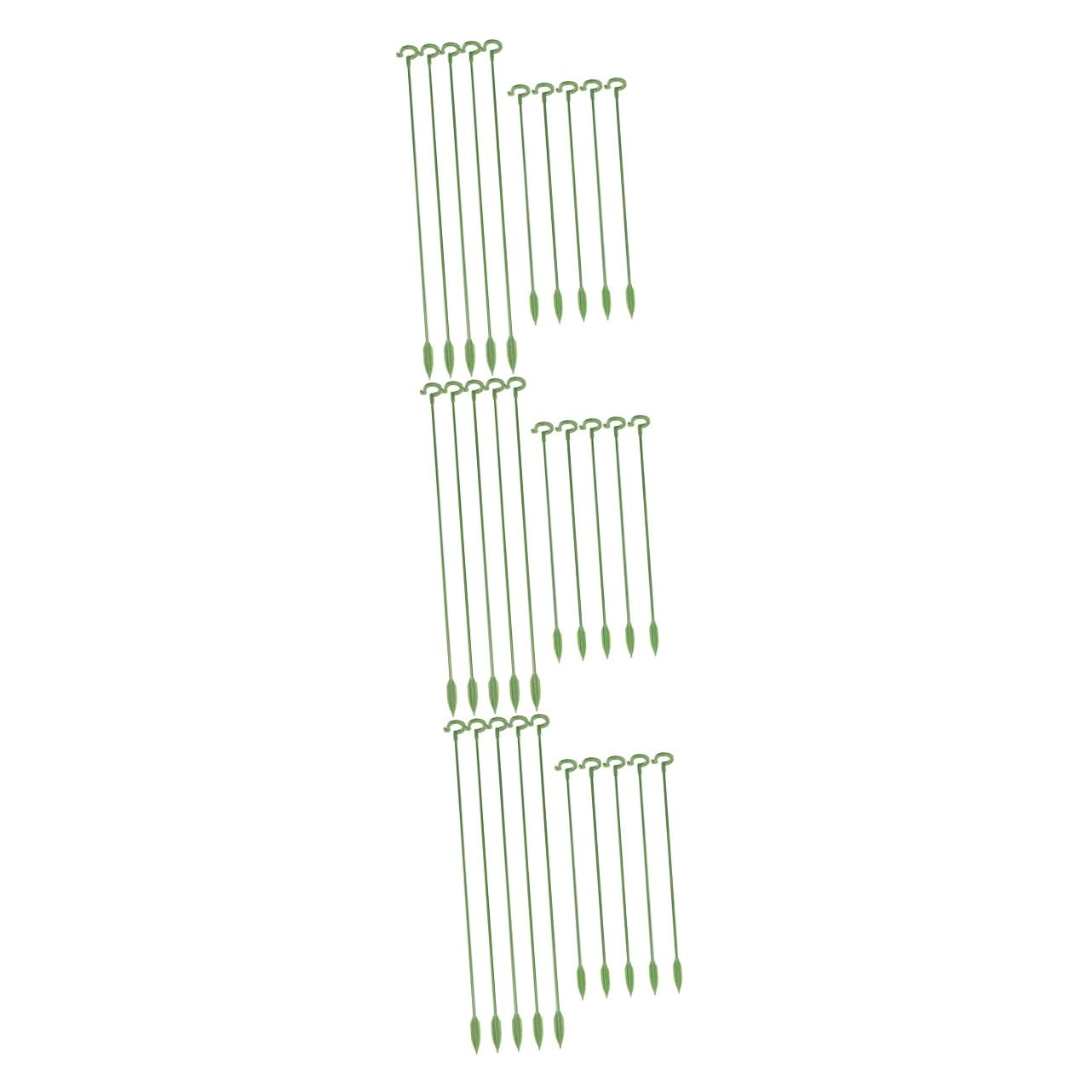 BESPORTBLE 60pièces Supports De Plantes Lot de Tuteurs pour Plantes Pot Piquets Résistant Aux Intempéries pour Fleurs Et Succulentes pour Bonsai