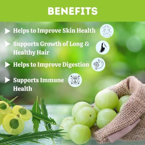 Image of Herbal Hills Amla Powder, (100 gm Pack) | Supports Skin Glow, Hair Strength & Immunity Boost | Amla Churna For Natural Beauty & Wellness with Indian Gooseberry Fruit (Pack of 5)