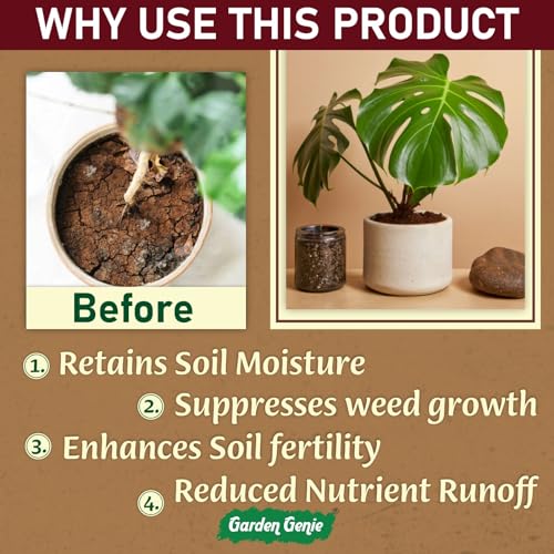 Image of Garden Genie Indoor Plant Fertilizer, 800G | Organic Growth Booster I Suitable For Areca Palm, Jade Plant, Money Plant, Monstera & All Types of Houseplants,Powder