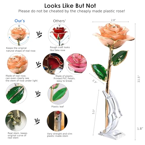 Image of Sinvitron Gold Dipped Infinity Rose Forever Flower Decor, Resin Preserved Real Rose Birthday Gift for Women, Anniversary Present for Mom (Pink)