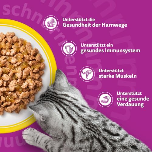 Whiskas Senior 11+ Katzennassfutter Geflügel Auswahl in Gelee, 48 Portionsbeutel, 12x85g (4er Pack) – Hochwertiges Katzenfutter nass, für Katzen ab dem 11. Lebensjahr