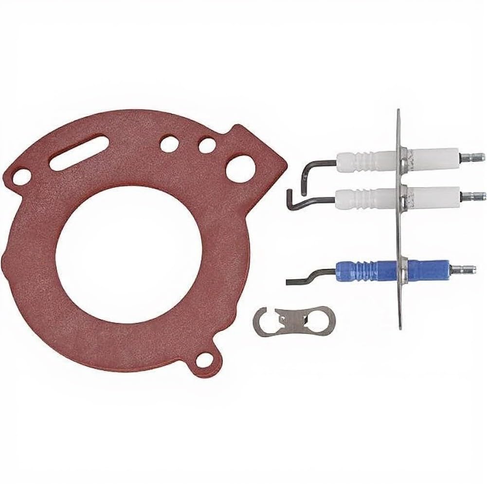 Set di elettrodi per caldaia Bosch per Buderus Logamax GB172 modelli 14-24 87181070870, per una combustione efficiente e un basso consumo di energia nel sistema di riscaldamento, facile da montare