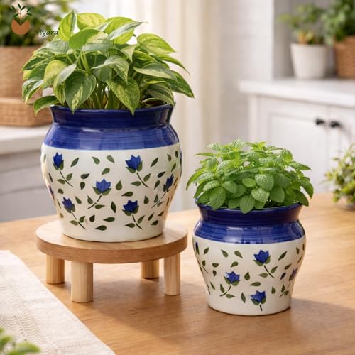 Image of Niyara Blue Leaf Print Ceramic Planter Pot | Decorative Indoor & Outdoor Plant Pot for Home & Office Decor (Set of 2)