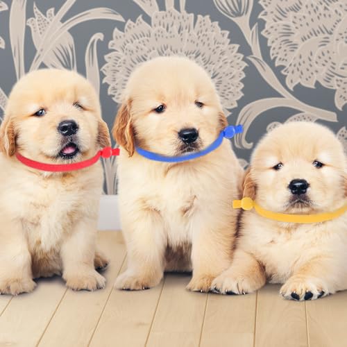 Image of 60-Pack Elastic Puppy Collars for Litter, Adjustable Puppy Litter Collars Colored Identification Soft Bands 4 Inch ID Cords Whelping Cords for Newborn Pets Kittens