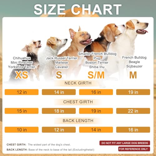 Image of BEAUTYZOO Dog Hoodie Sweaters for Small Medium Dogs- Warm Fall Winter Fleece Jacket for Cold Weather, Soft Velour Hooded Coat with Leash Hole & Pocket, Puppy Sweatshirt Clothes Bulldog Schnauzer, Grey