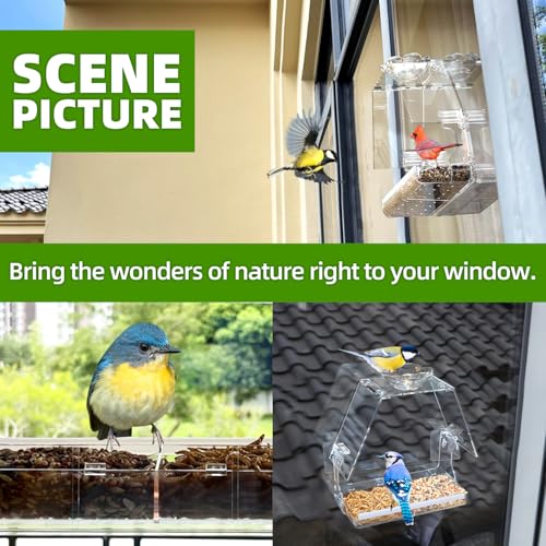 Image of WENMIXER Window Bird Feeder with Non-Marking Self-Adhesive Hooks