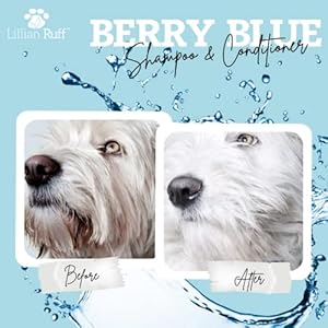 Lillian Ruff Berry Blue Brightening Face and Body Wash for Dogs – Blueberry Shampoo – Remove Tear Stains, Hydrate Dry Itchy Skin, Add Shine & Luster to Coats (Berry Blue Shampoo & Conditioner Set)